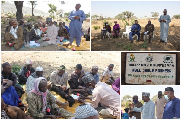 Extension Visit to Adopted Village in Toro, Bauchi State.