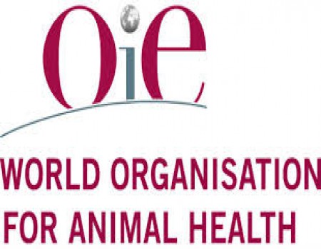 World Organisation for Animal Health